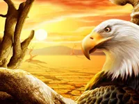 https://www.y8gamesx.com/game/eagle-slide