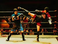 https://www.y8gamesx.com/game/fighters-in-the-ring