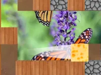 https://www.y8gamesx.com/game/wash-if-off