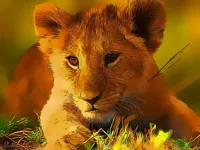 https://www.y8gamesx.com/game/wild-baby-animals-jigsaw