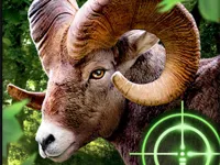 https://www.y8gamesx.com/game/crazy-goat-hunter-2020