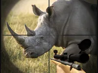 https://www.y8gamesx.com/game/rhino-hunter-shooting-strike