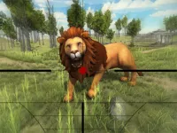 https://www.y8gamesx.com/game/lion-hunting-3d