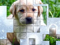 https://www.y8gamesx.com/game/picpu-dog