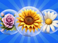 https://www.y8gamesx.com/game/dice-puzzle-flowers