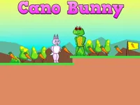 https://www.y8gamesx.com/game/cano-bunny